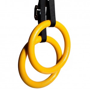 Gymnastic Rings for Full Body Strength and Muscular Bodyweight Training